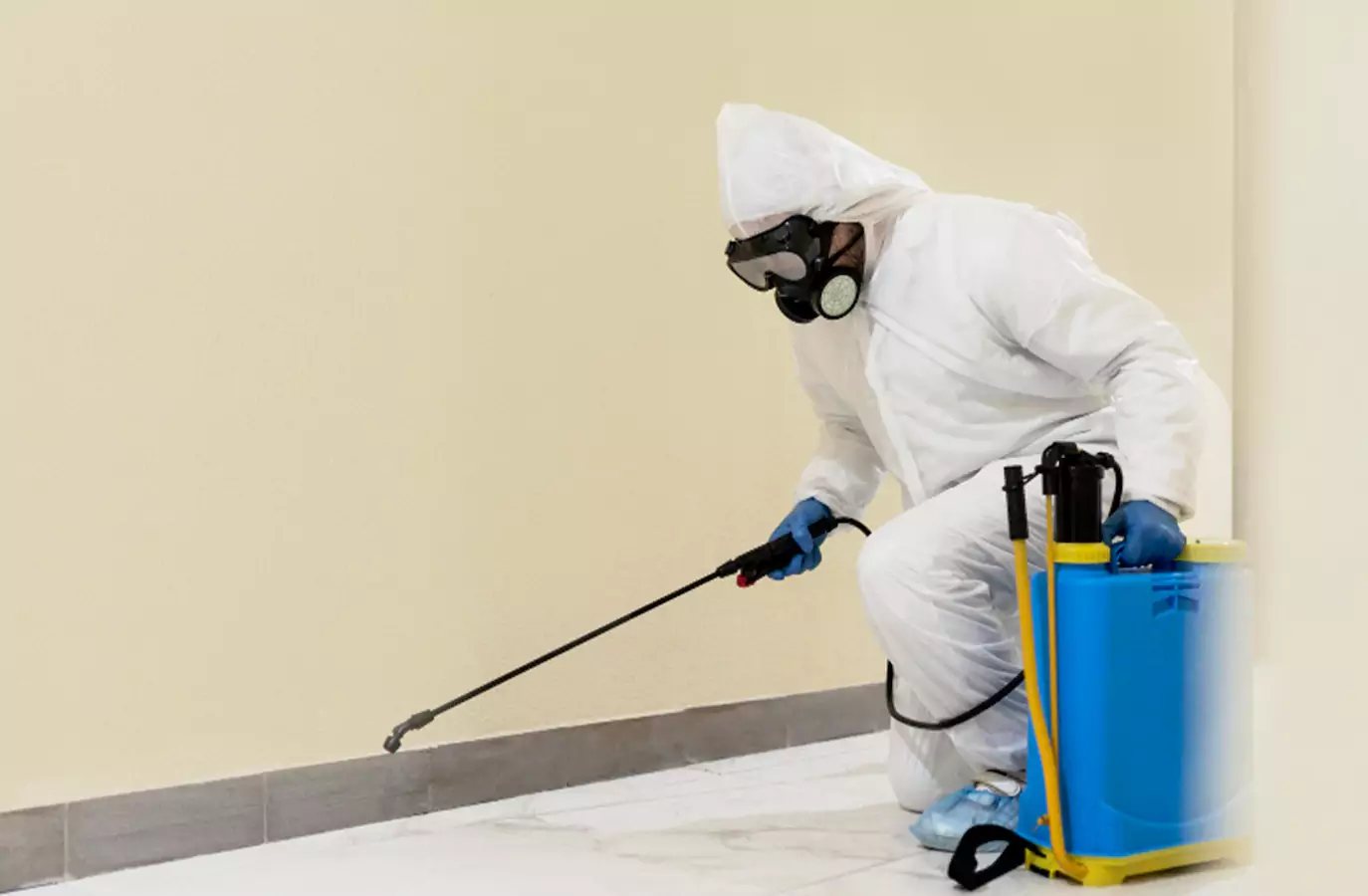 pest control gold coast