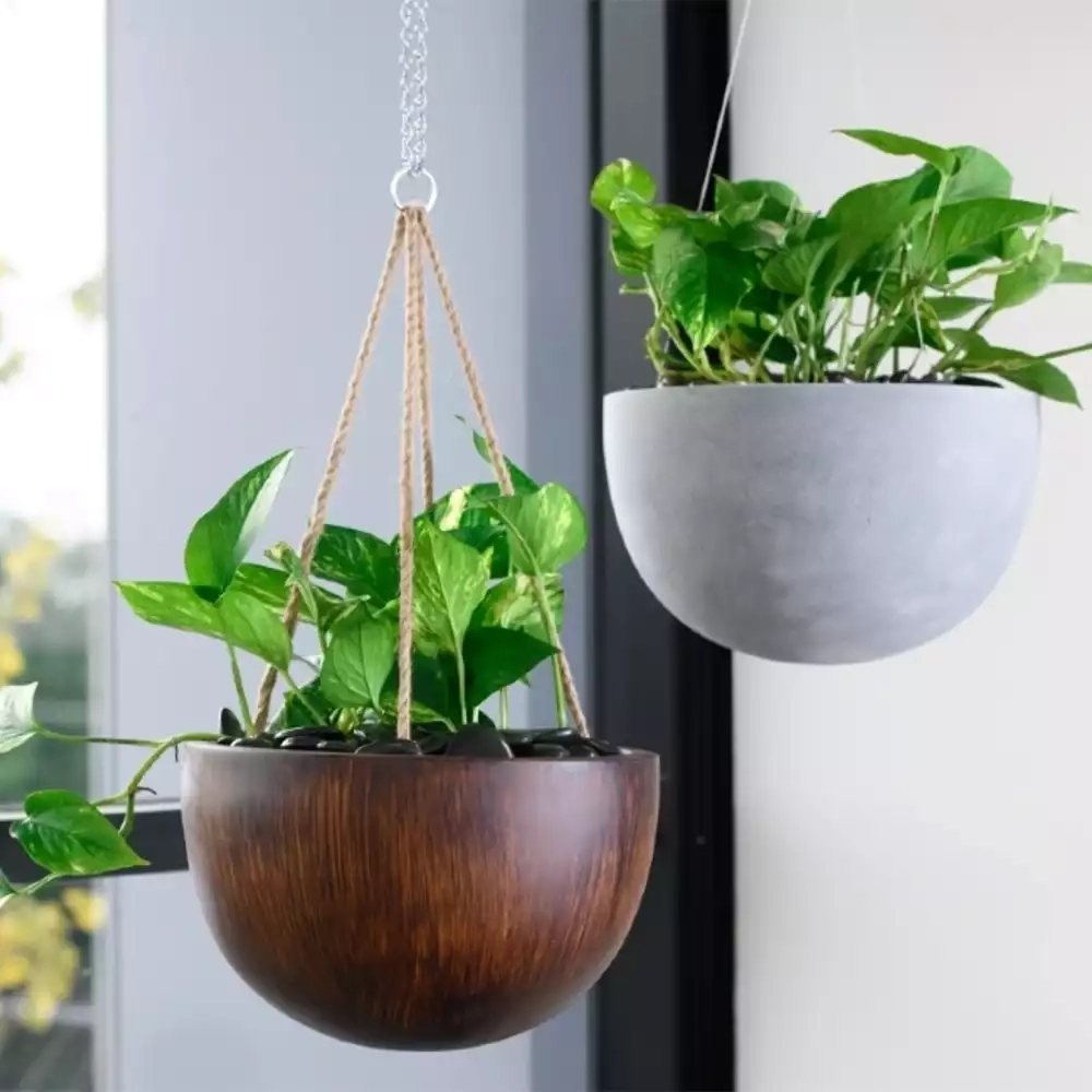 hanging wall planters