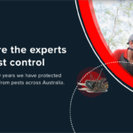 pest treatment